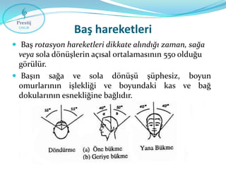 Baş hareketleri
 Baş rotasyon hareketleri dikkate alındığı zaman, sağa

veya sola dönüşlerin açısal ortalamasının 55o olduğu
görülür.
 Başın sağa ve sola dönüşü şüphesiz, boyun
omurlarının işlekliği ve boyundaki kas ve bağ
dokularının esnekliğine bağlıdır.

 