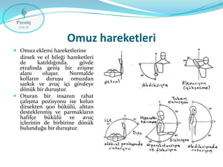 Omuz hareketleri
 Omuz eklemi hareketlerine

dirsek ve el bileği hareketleri
de
katıldığında,
gövde
etrafında geniş bir erişme
alanı
oluşur.
Normalde
kolların duruşu omuzdan
sarkık ve avuç içi gövdeye
dönük bir duruştur.
 Oturan bir insanın rahat
çalışma pozisyonu ise kolun
dirsekten 90o bükülü, alttan
desteklenmiş ve parmakların
hafifçe bükülü ve avuç
içlerinin de birbirine dönük
bulunduğu bir duruştur.

 