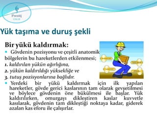Yük taşıma ve duruş şekli
Bir yükü kaldırmak:
 Gövdenin pozisyonu ve çeşitli anatomik

bölgelerin bu hareketlerden etkilenmesi;
1. kaldırılan yükün ağırlığına,
2. yükün kaldırıldığı yüksekliğe ve
3. tutuş pozisyonlarına bağlıdır.
 Yerdeki bir yükü kaldırmak için ilk yapılan
hareketler, gövde gerici kaslarının tam olarak gevşetilmesi
ve böylece gövdenin öne bükülmesi ile başlar. Yük
kaldırılırken, omurgayı dikleştiren kaslar kuvvetle
kasılarak, gövdenin tam dikleştiği noktaya kadar, giderek
azalan kas eforu ile çalışırlar.

 
