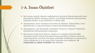 1-A. İnsan Ölçütleri
 İşin insana uyumlu olmasını sağlamak için işyerinin düzenlenmesinde insan
boyutlarının dikkate alınması gerekir. İş yerindeki makinede sabit gösterge,
kumanda aletleri, iş için kullanılan el aletleri gibi.
 Antropometri, insan vücudunun boyutları ile ilgilenen bilim dalıdır, vücut
ölçülerini alır ve eşya boyutlarının oluşturulmasında kullanılır.
 Antropometri, eski Yunancada “anthropos” (insan) ve “metrein” (belirleme)
kelimelerinin birleşmesinden oluşmuştur
 İşin insansı maliyetinin ölçümü, yapılan iş ve çalışma ortamıyla ilgili
boyutların da göz önünde bulundurulmasını gerektirir. Çalışma ortamı işi
yapan bireylerin anatomik, fizyolojik, psikolojik özelliklerine ve kapasitesine
uygun olduğunda iş ve işi yapan birey arasında uyum sağlanılır, az
yorgunlukla en yüksek verimlilik elde edilebilir.
 