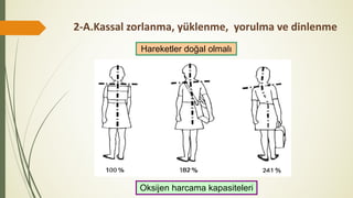 2-A.Kassal zorlanma, yüklenme, yorulma ve dinlenme
Hareketler doğal olmalı
Oksijen harcama kapasiteleri
 