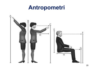Antropometri
20
 