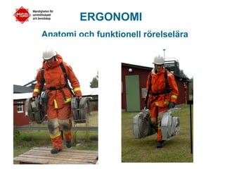 ERGONOMI
Anatomi och funktionell rörelselära
 