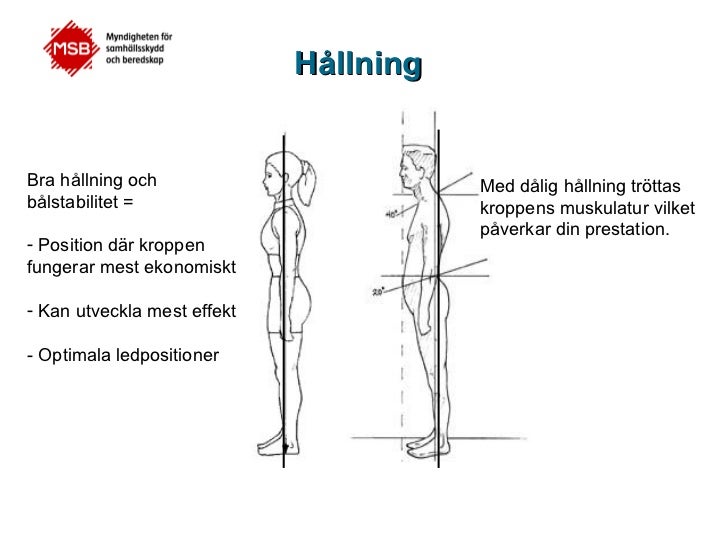 Vad Väger Ett Vuxet Huvud