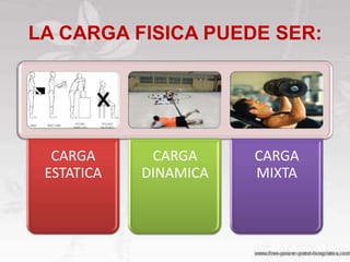 LA CARGA FISICA PUEDE SER:




  CARGA      CARGA     CARGA
 ESTATICA   DINAMICA   MIXTA
 