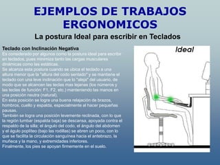 EJEMPLOS DE TRABAJOS
                    ERGONOMICOS
                 La postura Ideal para escribir en Teclados
Teclado con Inclinación Negativa
Es considerado por algunos como la postura ideal para escribir
en teclados, pues minimiza tanto las cargas musculares
dinámicas como las estáticas.
Se alcanza esta postura cuando se ubica el teclado a una
altura menor que la "altura del codo sentado" y se mantiene el
teclado con una leve inclinación que lo "aleja" del usuario, de
modo que se alcancen las teclas mas lejanas (los números y
las teclas de función: F1, F2, etc.) manteniendo las manos en
una posición neutra (natural).
En esta posición se logra una buena relajación de brazos,
hombros, cuello y espalda, especialmente al hacer pequeñas
pausas.
También se logra una posición levemente reclinada, con lo que
la región lumbar (espalda baja) se descansa, apoyada contra el
respaldo de la silla; el ángulo del codo, el ángulo del abdomen
y el águlo poplíteo (bajo las rodillas) se abren un poco, con lo
que se facilita la circulación sanguínea hacia el antebrazo, la
muñeca y la mano, y extremidades inferiores.
Finalmente, los pies se apoyan firmemente en el suelo.
 