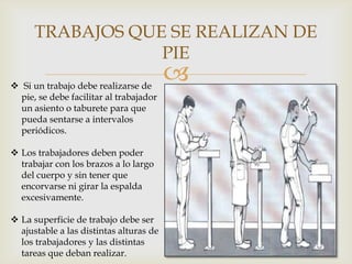 TRABAJOS QUE SE REALIZAN DE
                  PIE
 Si un trabajo debe realizarse de
                                         
  pie, se debe facilitar al trabajador
  un asiento o taburete para que
  pueda sentarse a intervalos
  periódicos.

 Los trabajadores deben poder
  trabajar con los brazos a lo largo
  del cuerpo y sin tener que
  encorvarse ni girar la espalda
  excesivamente.

 La superficie de trabajo debe ser
  ajustable a las distintas alturas de
  los trabajadores y las distintas
  tareas que deban realizar.
 