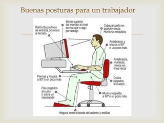 Buenas posturas para un trabajador


                
 