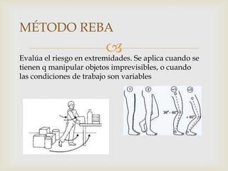 MÉTODO REBA
                           Se aplica cuando se
Evalúa el riesgo en extremidades.
tienen q manipular objetos imprevisibles, o cuando
las condiciones de trabajo son variables
 