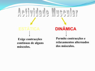 ESTÁTICA DINÂMICA
Exige contracções
contínuas de alguns
músculos.
Permite contracções e
relaxamentos alternados
dos músculos.
 