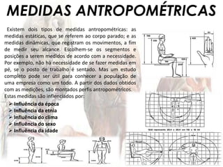 Quais São As Medidas Antropométricas - AEROH