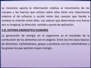 La mecánica aporta la información relativa al movimiento de los
cuerpos y las fuerzas que actúan sobre ellos tiene una importancia
máxima el de esfuerzo o acción entre dos cuerpos que tiende a
cambiar la relación entre ellos. Los valores que determinan una fuerza
son su longitud, la dirección, sentido y punto de aplicación.
2 EL SISTEMA ENERGETICO HUMANO
La generación de energía en el organismo es el resultado de la
combustión de los alimentos con el oxígeno. Entre los tres tipos básicos
de alimentos. Carbohidratos, grasas y proteínas son los carbohidratos y
las grasas los que aportan mayor energía.
 