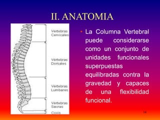 14
II. ANATOMIA
• La Columna Vertebral
puede considerarse
como un conjunto de
unidades funcionales
superpuestas
equilibradas contra la
gravedad y capaces
de una flexibilidad
funcional.
 