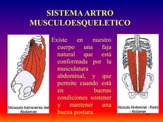 19
SISTEMAARTRO
MUSCULOESQUELETICO
Existe en nuestro
cuerpo una faja
natural que está
conformada por la
musculatura
abdominal, y que
permite cuando está
en buenas
condiciones sostener
y mantener una
buena postura.
 