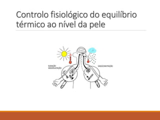 Controlo fisiológico do equilíbrio
térmico ao nível da pele
 