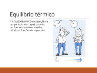 Equilíbrio térmico
A HOMEOTERMIA (manutenção da
temperatura do corpo), garante
um funcionamento ótimo das
principais funções do organismo.
 