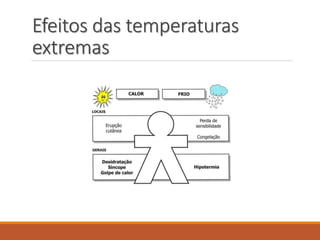 Efeitos das temperaturas
extremas
 