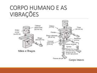 CORPO HUMANO E AS
VIBRAÇÕES
 