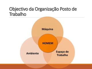 Objectivo da Organização Posto de
Trabalho
Máquina
Espaço de
Trabalho
Ambiente
HOMEM
 