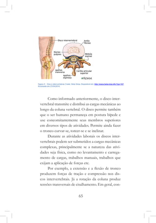 65
Como informado anteriormente, o disco inter-
vertebral transmite e distribui as cargas mecânicas ao
longo da coluna vertebral. O disco permite também
que o ser humano permaneça em postura bípede e
use concomitantemente seus membros superiores
em diversos tipos de atividades. Permite ainda fazer
o tronco curvar-se, torcer-se e se inclinar.
Durante as atividades laborais os discos inter-
vertebrais podem ser submetidos a cargas mecânicas
complexas, principalmente se a natureza das ativi-
dades seja física, como no levantamento e carrega-
mento de cargas, trabalhos manuais, trabalhos que
exijam a aplicação de forças etc.
Por exemplo, a extensão e a flexão de tronco
produzem forças de tração e compressão nos dis-
cos intervertebrais. Já a rotação da coluna produz
tensões transversais de cisalhamento. Em geral, con-
 