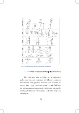 81
2.5.2 Movimentos realizados pelos músculos
Os músculos são os principais responsáveis
pelos movimentos corporais. Devido às contrações
musculares conseguimos manter uma postura, le-
vantar uma carga, e movimentar o corpo. Pode ain-
da retardar um segmento que está se movimentando
numa determinada velocidade e acelerar o corpo ou
um objeto.
 