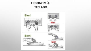 ERGONOMÍA:
TECLADO
 