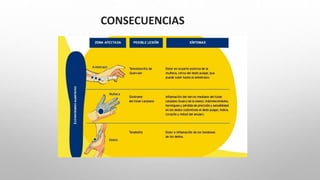 CONSECUENCIAS
 