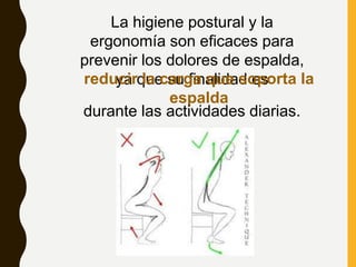 La higiene postural y la
ergonomía son eficaces para
prevenir los dolores de espalda,
ya que su finalidad es
reducir la carga que soporta la
espalda
durante las actividades diarias.
 