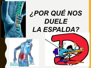 ¿POR QUÉ NOS
DUELE
LA ESPALDA?
https://encrypted-
tbn3.gstatic.com/images?q=tbn:ANd9GcR4jQvhDDTv9BuIbG-
uO0KW7KNLpk5E3PtY5SphcxWIPs6hPHal
 