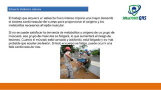 02/19/2025 42
Esfuerzo dinámico intenso
El trabajo que requiere un esfuerzo físico intenso impone una mayor demanda
al sistema cardiovascular del cuerpo para proporcionar el oxígeno y los
metabolitos necesarios al tejido muscular.
Si no se puede satisfacer la demanda de metabolitos y oxígeno de un grupo de
músculos, ese grupo de músculos se fatigará, lo que aumentará el riesgo de
lesiones. Cuando el músculo está cansado y adolorido, está fatigado y es más
probable que ocurra una lesión. Si todo el cuerpo se fatiga, puede ocurrir una
falla cardiovascular real.
 