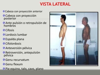 Clase de ergonómica. .pdf
