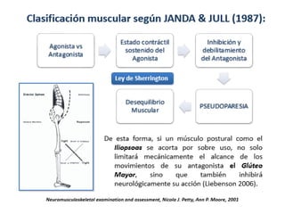 Clase de ergonómica. .pdf