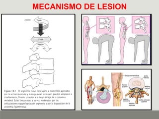 Clase de ergonómica. .pdf