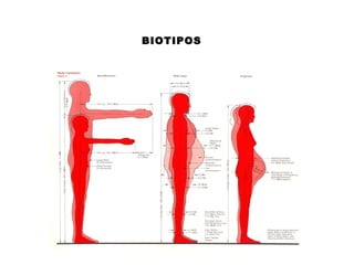 BIOTIPOS
 