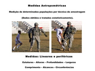 Medidas Antropométricas
Medição de determinadas populações por técnica de amostragem
(Dados obtidos e tratados estatisticamente).
Medidas: Lineares e periféricas
Estaturas – Alturas – Profundidades – Larguras
Comprimento – Alcances - Circunferências
 
