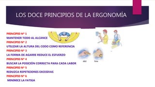 LOS DOCE PRINCIPIOS DE LA ERGONOMÍA
PRINCIPIO Nº 1
MANTENER TODO AL ALCANCE
PRINCIPIO Nº 2
UTILIZAR LA ALTURA DEL CODO COMO REFERENCIA
PRINCIPIO Nº 3
LA FORMA DE AGARRE REDUCE EL ESFUERZO
PRINCIPIO Nº 4
BUSCAR LA POSICIÓN CORRECTA PARA CADA LABOR
PRINCIPIO Nº 5
REDUZCA REPETICIONES EXCESIVAS
PRINCIPIO Nº 6
MINIMICE LA FATIGA
 