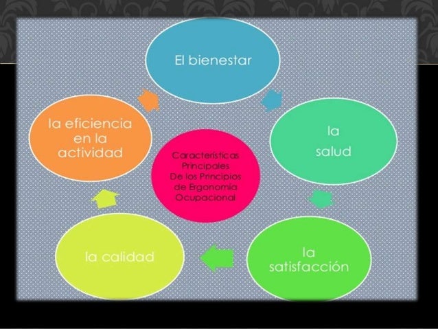 Ergonomia PRINCIPIOS DE LA ERGONOMIA OCUPACIONAL