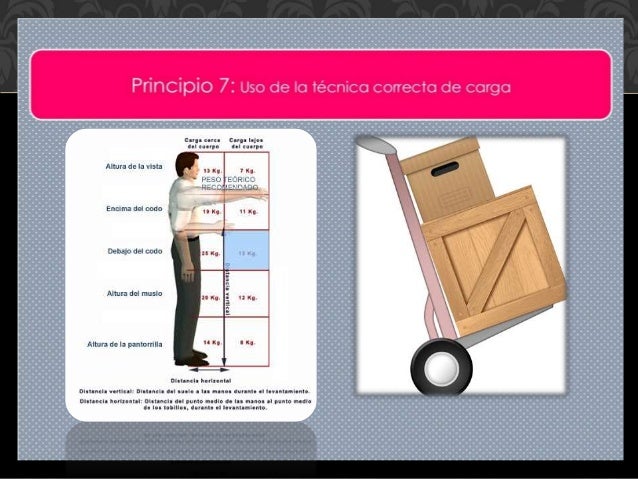 Ergonomia PRINCIPIOS DE LA ERGONOMIA OCUPACIONAL
