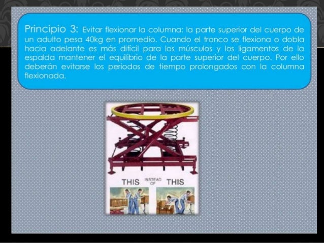 Ergonomia PRINCIPIOS DE LA ERGONOMIA OCUPACIONAL