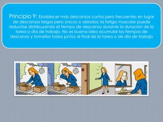 Principio 9: Establecer más descansos cortos pero frecuentes en lugar
de descansos largos pero únicos o aislados: la fatiga muscular puede
reducirse distribuyendo el tiempo de descanso durante la duración de la
tarea o día de trabajo. No es buena idea acumular los tiempos de
descanso y tomarlos todos juntos al final de la tarea o de día de trabajo
 