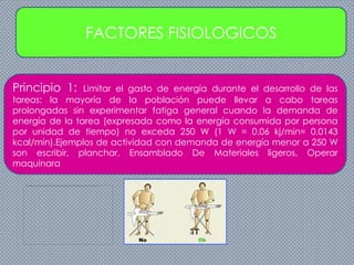 FACTORES FISIOLOGICOS
Principio 1: Limitar el gasto de energía durante el desarrollo de las
tareas: la mayoría de la población puede llevar a cabo tareas
prolongadas sin experimentar fatiga general cuando la demanda de
energía de la tarea (expresada como la energía consumida por persona
por unidad de tiempo) no exceda 250 W (1 W = 0.06 kj/min= 0.0143
kcal/min).Ejemplos de actividad con demanda de energía menor a 250 W
son escribir, planchar, Ensamblado De Materiales ligeros, Operar
maquinara
 