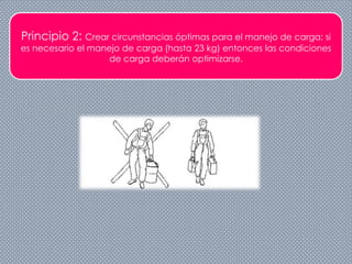 Principio 2: Crear circunstancias óptimas para el manejo de carga: si
es necesario el manejo de carga (hasta 23 kg) entonces las condiciones
de carga deberán optimizarse.
 