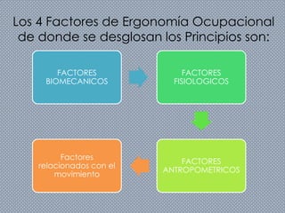 Los 4 Factores de Ergonomía Ocupacional
de donde se desglosan los Principios son:
FACTORES
BIOMECANICOS
FACTORES
FISIOLOGICOS
FACTORES
ANTROPOMETRICOS
Factores
relacionados con el
movimiento
 