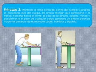 Principio 2: Mantener la tarea cerca del centro del cuerpo: si la tarea
se encuentra lejos del cuerpo, los brazos tendrán que extenderse y el
tronco inclinarse hacia el frente. El peso de los brazos, cabeza, tronco y
posiblemente el peso de cualquier carga generara un efecto palanca
horizontal provocando estrés sobre codos, hombros y espalda.
 
