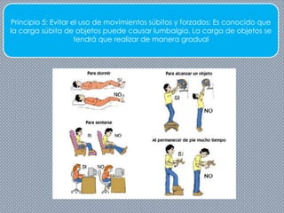 Principio 5: Evitar el uso de movimientos súbitos y forzados: Es conocido que
la carga súbita de objetos puede causar lumbalgia. La carga de objetos se
tendrá que realizar de manera gradual
 