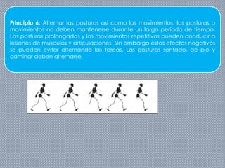 Principio 6: Alternar las posturas así como los movimientos: las posturas o
movimientos no deben mantenerse durante un largo período de tiempo.
Las posturas prolongadas y los movimientos repetitivos pueden conducir a
lesiones de músculos y articulaciones. Sin embargo estos efectos negativos
se pueden evitar alternando las tareas. Las posturas sentado, de pie y
caminar deben alternarse.
 
