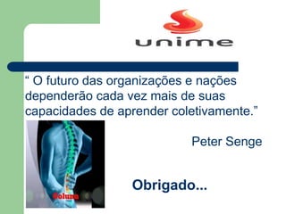 “ O futuro das organizações e nações
dependerão cada vez mais de suas
capacidades de aprender coletivamente.”
Peter Senge
Obrigado...
 