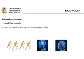 ERGONOMIA
O Organismo Humano
• Função Neuromuscular
• Forças => Contrações Musculares => Sistema Nervoso Central
 
