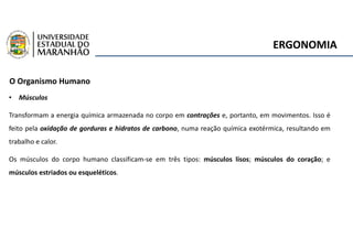 ERGONOMIA
O Organismo Humano
• Músculos
Transformam a energia química armazenada no corpo em contrações e, portanto, em movimentos. Isso é
feito pela oxidação de gorduras e hidratos de carbono, numa reação química exotérmica, resultando em
trabalho e calor.
Os músculos do corpo humano classificam-se em três tipos: músculos lisos; músculos do coração; e
músculos estriados ou esqueléticos.
 