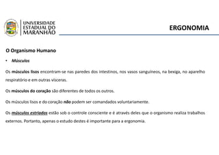 ERGONOMIA
O Organismo Humano
• Músculos
Os músculos lisos encontram-se nas paredes dos intestinos, nos vasos sanguíneos, na bexiga, no aparelho
respiratório e em outras vísceras.
Os músculos do coração são diferentes de todos os outros.
Os músculos lisos e do coração não podem ser comandados voluntariamente.
Os músculos estriados estão sob o controle consciente e é através deles que o organismo realiza trabalhos
externos. Portanto, apenas o estudo destes é importante para a ergonomia.
 